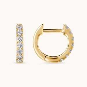 New Arrivals The Kate Huggie Earrings